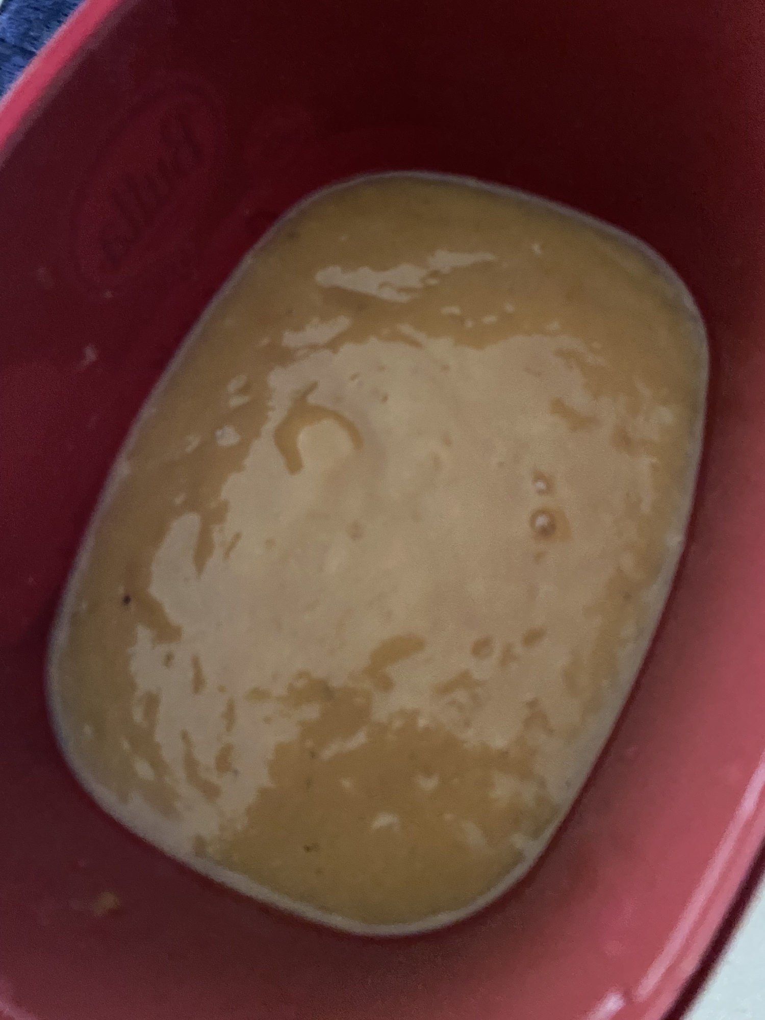 マンゴー発酵ソース