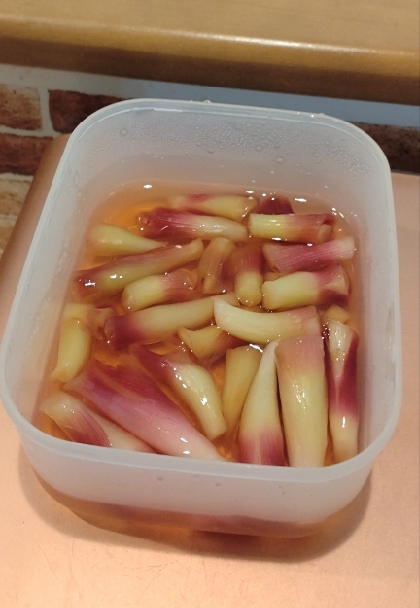 【みょうがの忘れ物】　保存もできる甘酢漬け