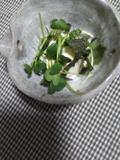 緑の冷奴˖✧˖°（大葉、貝割れ大根）ෆ˚*