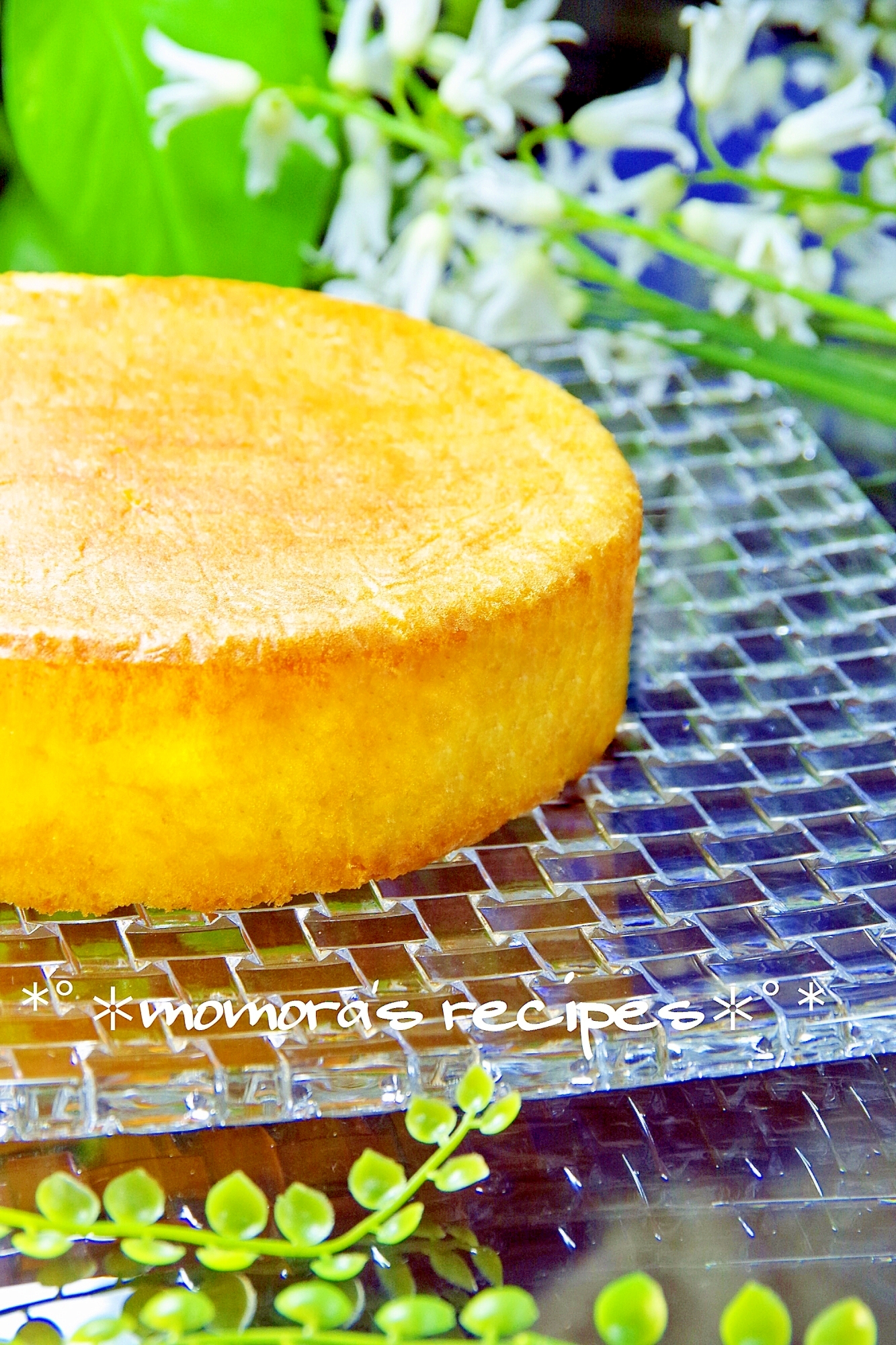 スポンジケーキのレシピ 作り方 簡単人気ランキング 楽天レシピ