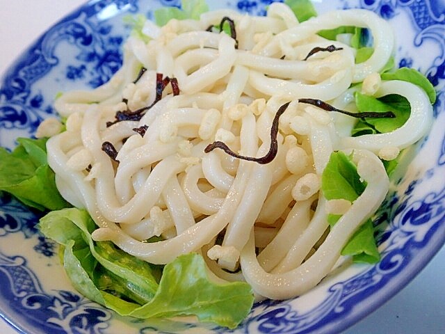 うどんりんご 王林【家庭用5kg】｜まさひろ林檎園