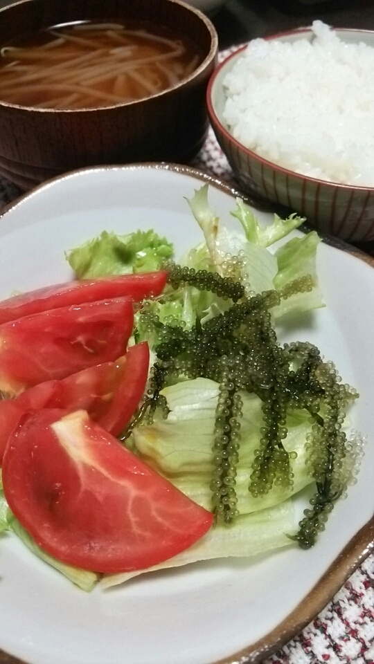 居酒屋レシピ～☆海ぶどうサラダ