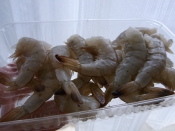 殻付き海老の甘煮 レシピ 作り方 By もっちのあしあと 楽天レシピ