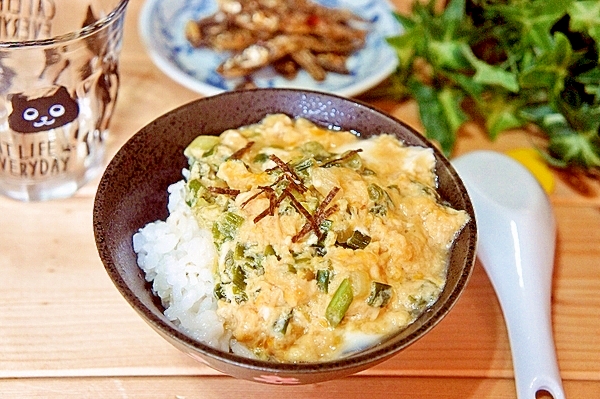 包丁要らずのずぼら飯！5分de青葱たっぷりトロ玉丼