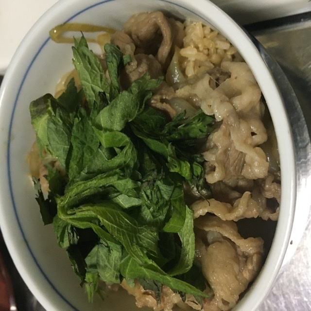 簡単牛丼