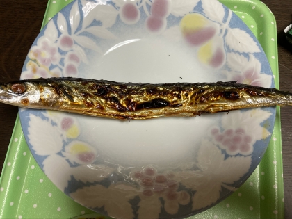 さんま　岩塩焼き