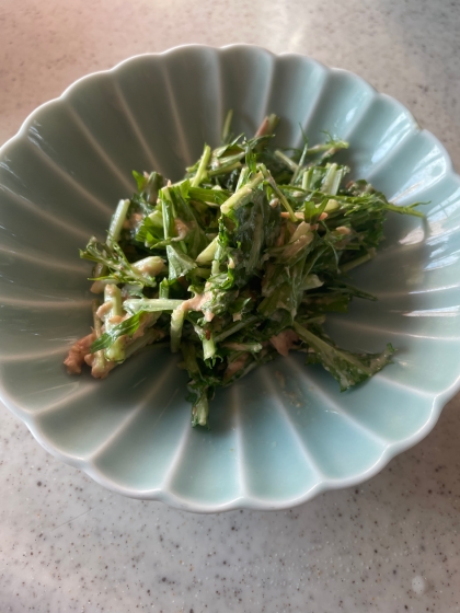 鍋で余った翌日は！水菜とツナサラダ