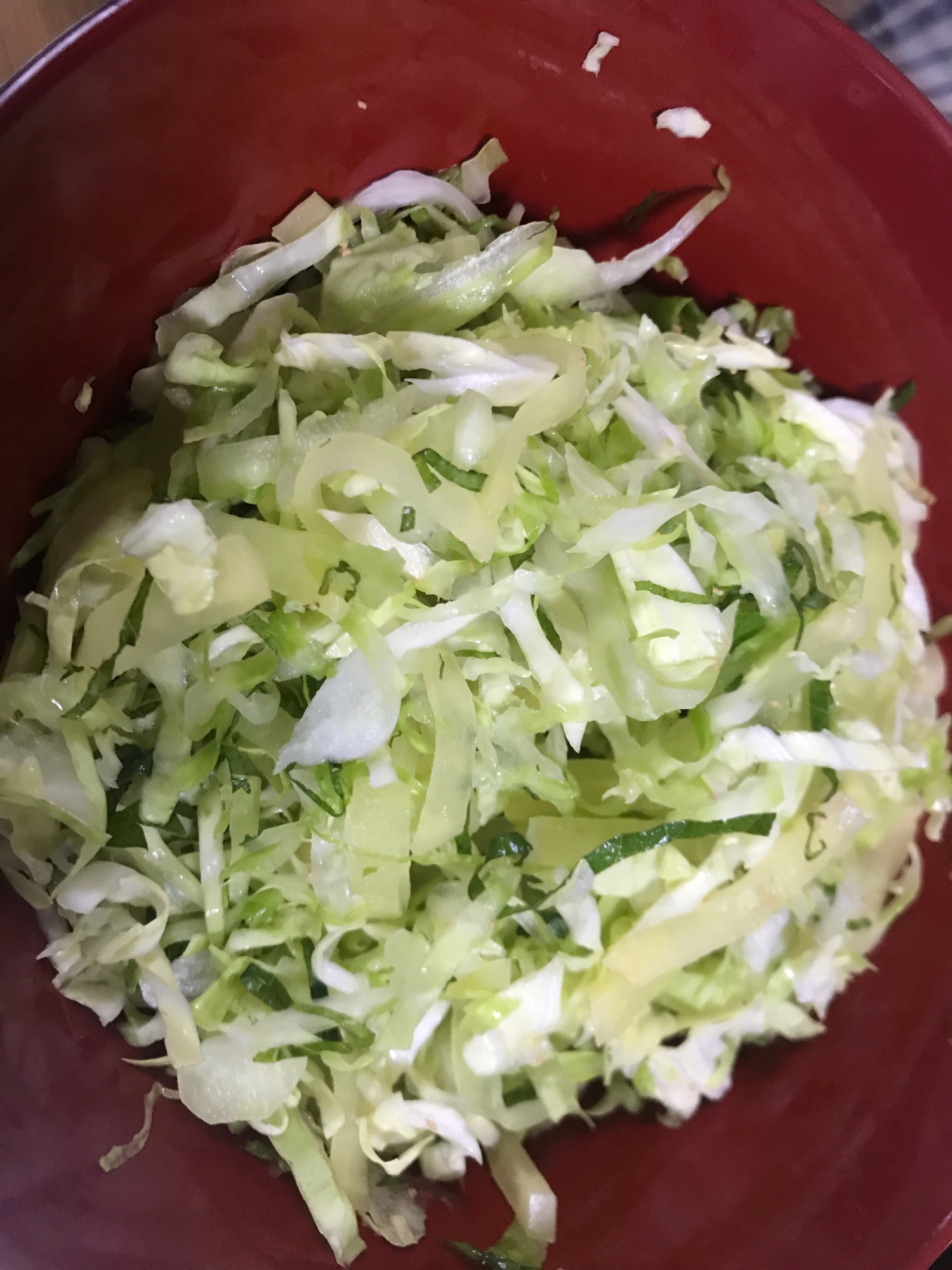 おつまみキャベツ