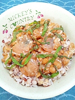 プチ贅沢バージョン 納豆の食べ方 はまぐり レシピ 作り方 By Nyan260 楽天レシピ プチ贅沢バージョン 納豆の食べ方 はまぐり レシピ 作り方 By Nyan260 楽天レシピ