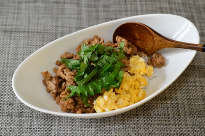 夏のミニ三色丼！