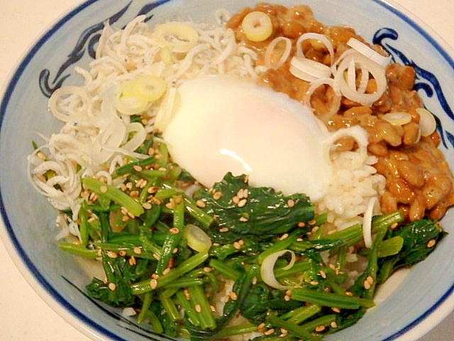 爆弾丼～納豆としらすとほうれん草～