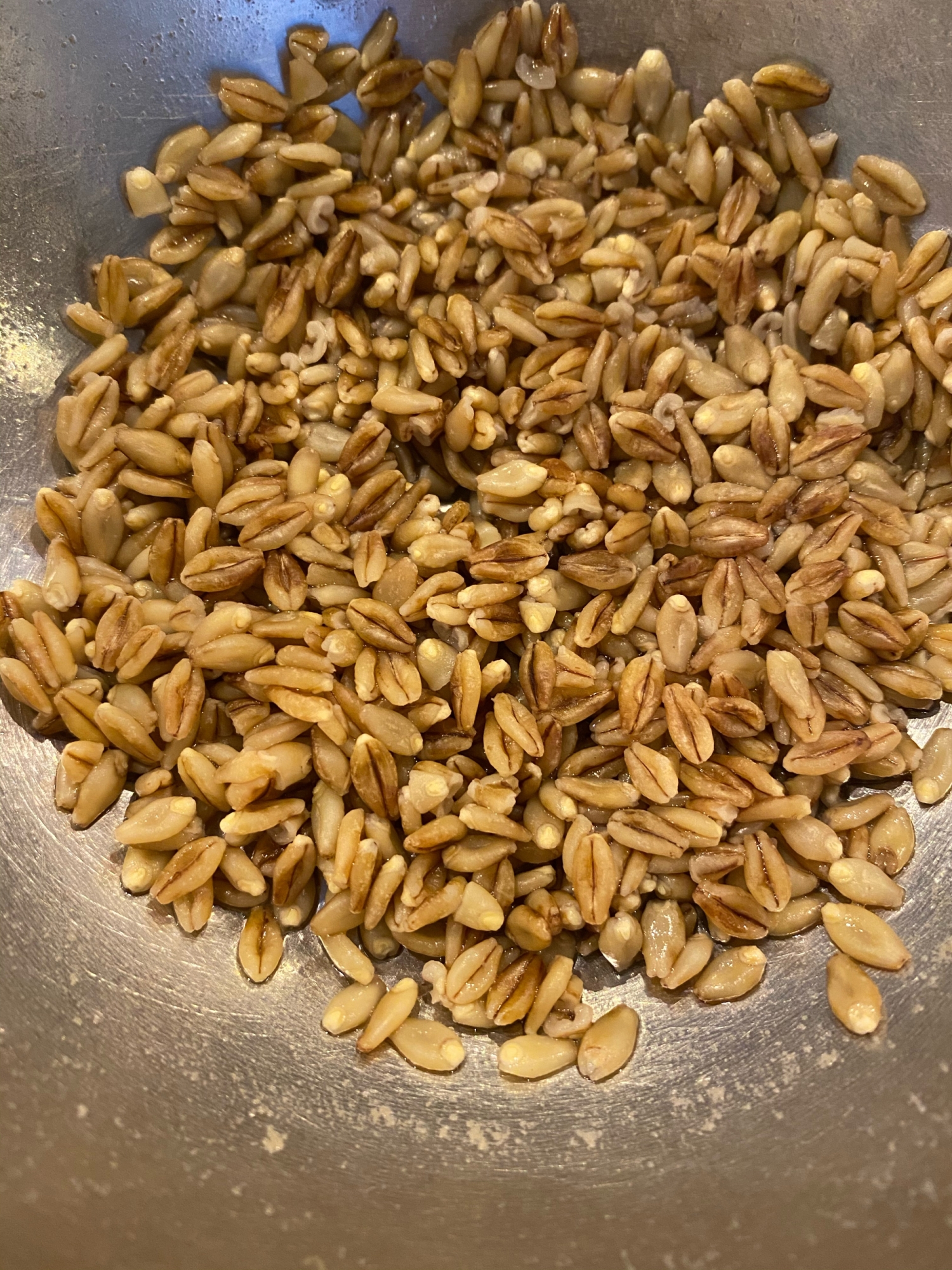 レンジで!バーリーマックスの蒸し方