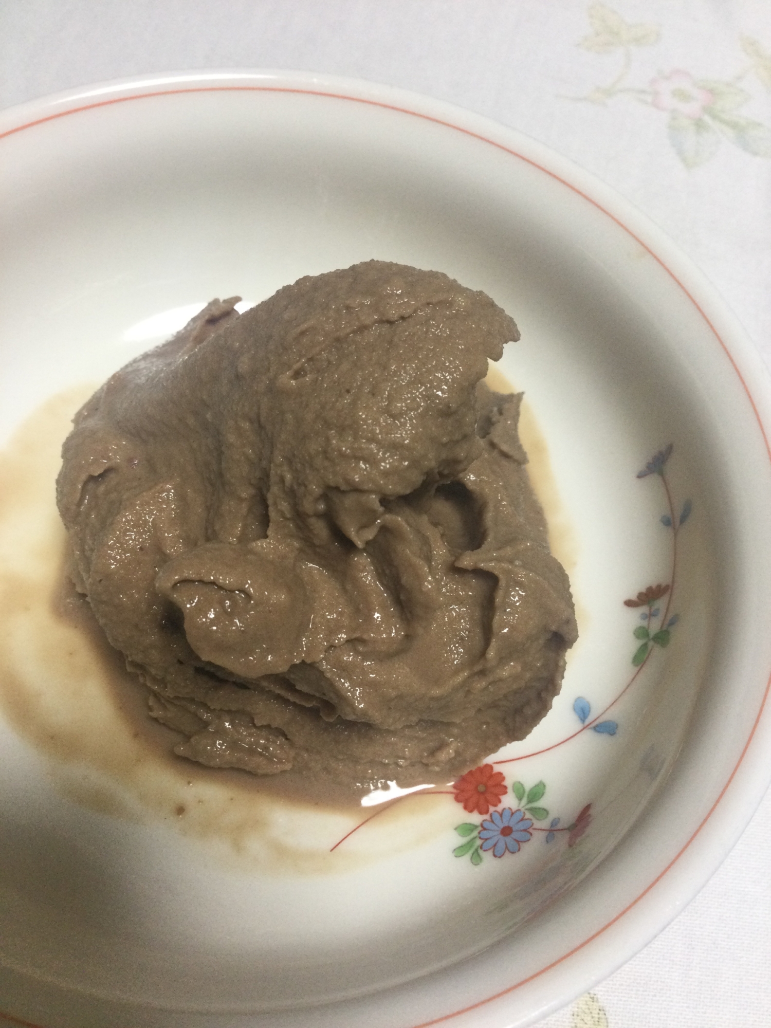 豆乳のチョコレートアイスクリーム