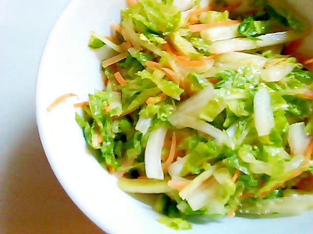 白菜ニンジンサラダ
