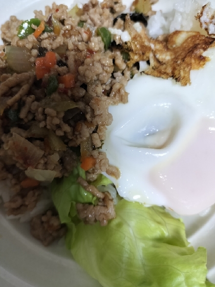 〜乾燥バジルでガパオライス〜
