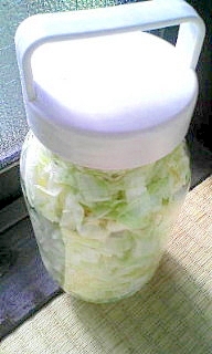 食べやすい自家製ザワークラウト