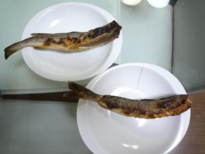 コマイの自家製一夜干し レシピ 作り方 By Kokorin98 楽天レシピ コマイの自家製一夜干し レシピ 作り方 By Kokorin98 楽天レシピ