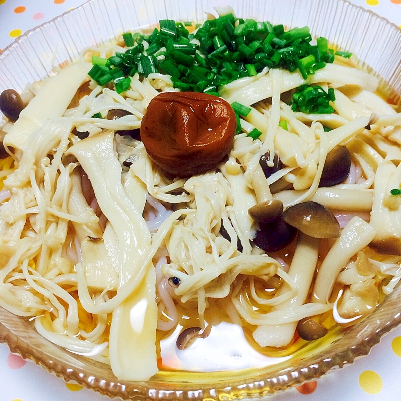 ヘルシーすぎるキノコと糸こんにゃくそうめん