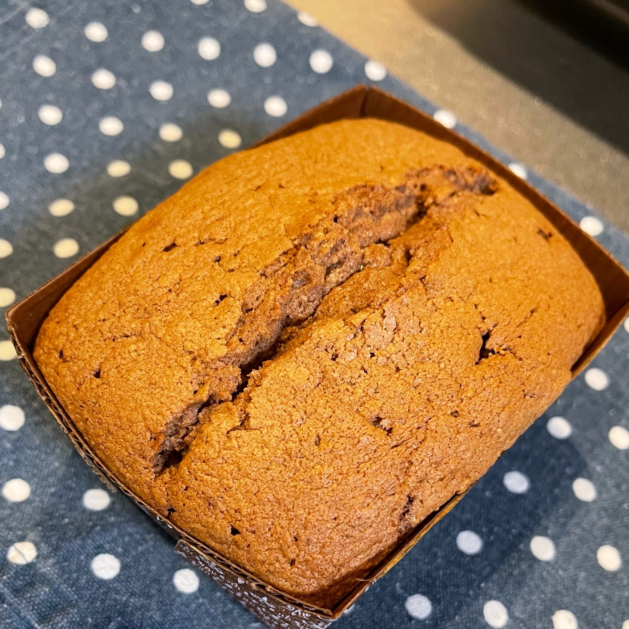 Qtem9ayfibicum Qtem9ayfibicum