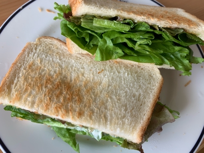 レタス消費にもってこいですね。からしマヨネーズで食が進みました。