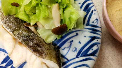 フライパンで簡単♡タラとキャベツの蒸し焼きごまだれ