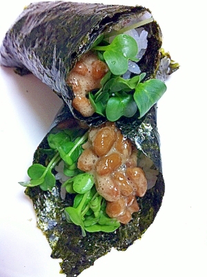 カイワレ納豆巻き