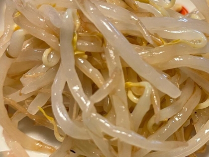 レンジで簡単！もやしのナムル