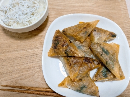 鶏ひき肉の三角春巻き