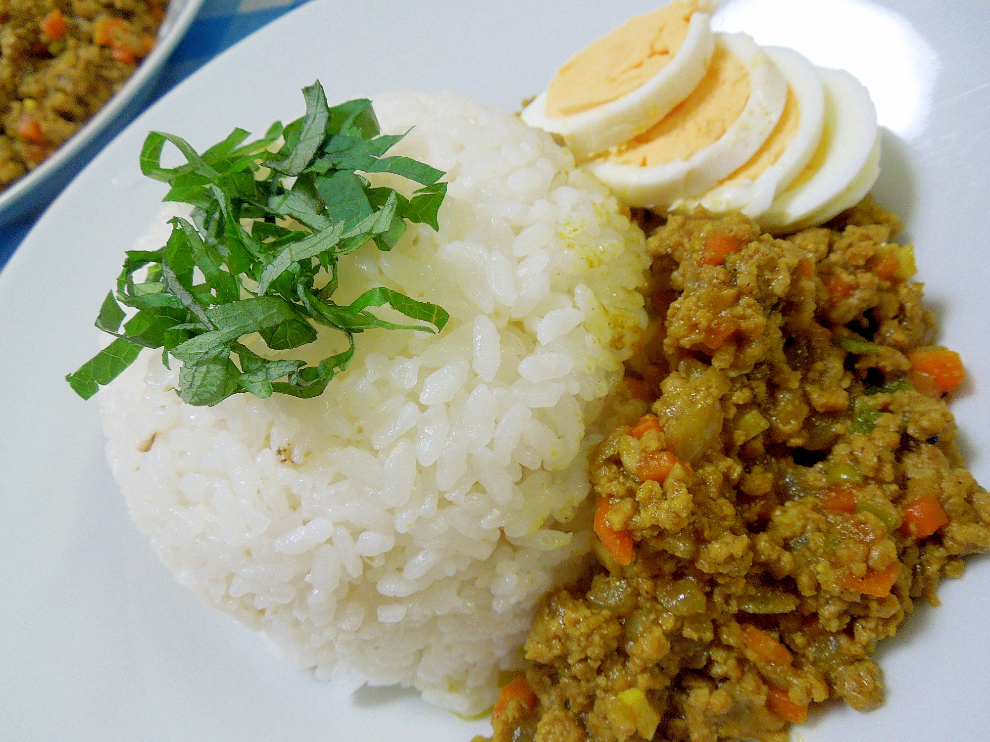 香味野菜たっぷり♪シイタケとネギの和風ドライカレー