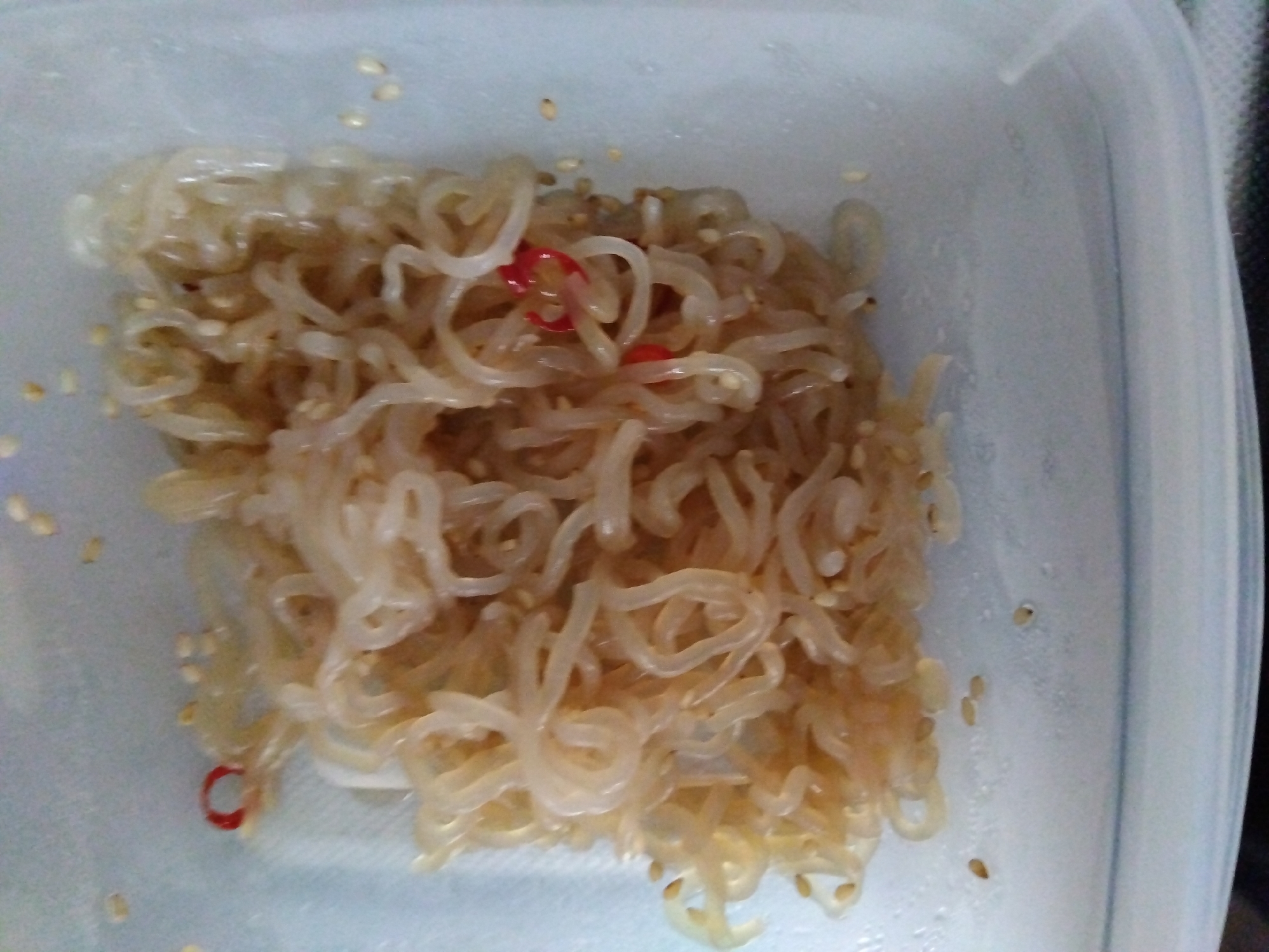 糸こんにゃくの炒め物