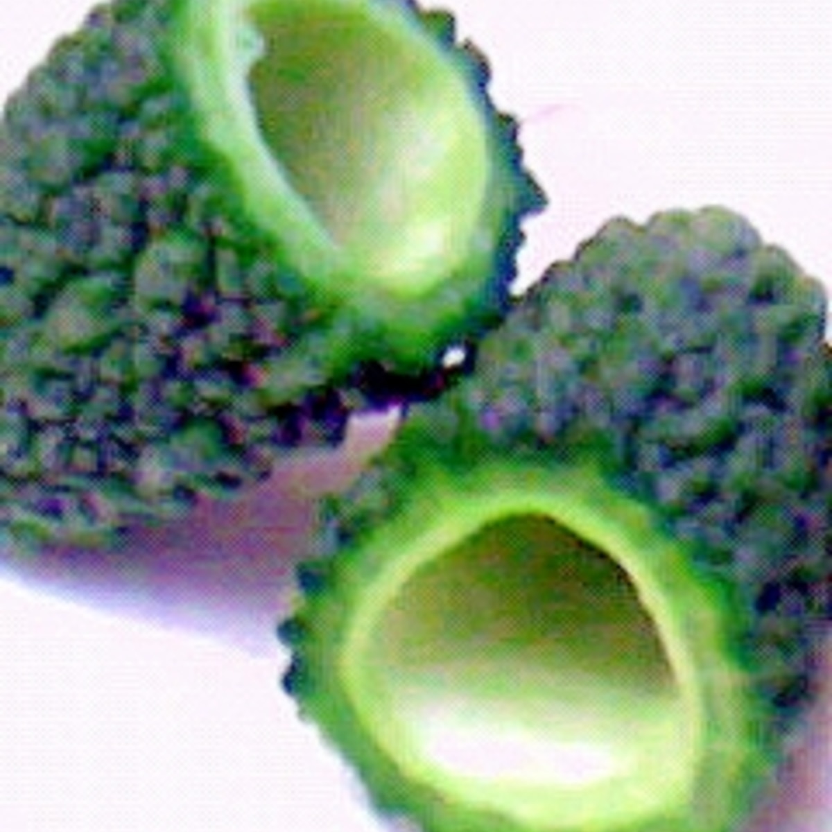 ゴーヤのわたとタネをグルっと簡単に取る方法 レシピ 作り方 By Sirotandaisuki 楽天レシピ ゴーヤのわたとタネをグルっと簡単に取る方法 レシピ 作り方 By Sirotandaisuki 楽天レシピ