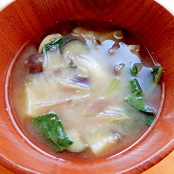 +茗荷と青菜で❤・・❤ナスたっぷりめ味噌汁♪