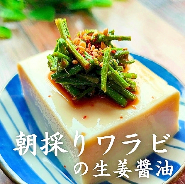 ワラビの生姜醬油【冷奴】簡単アク抜き＆下処理も簡単