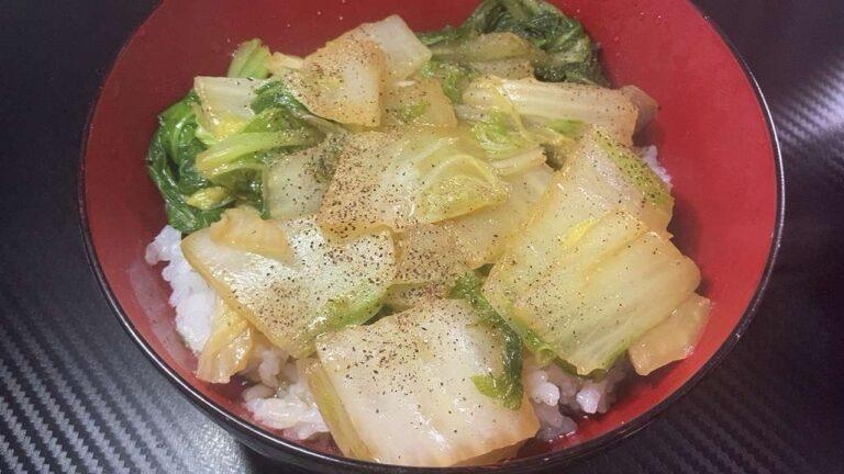 素朴飯『白菜のうま煮丼』