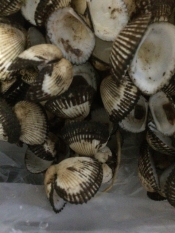 赤貝のしょうゆ煮 レシピ 作り方 By りぽひめ 楽天レシピ