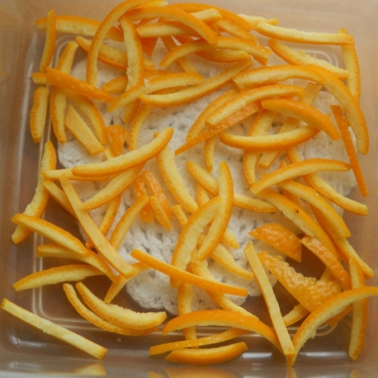 オレンジの皮の冷凍保存