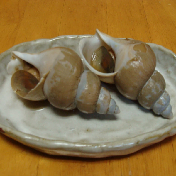 白バイ貝の煮付け レシピ 作り方 By 家飲み親父 楽天レシピ 白バイ貝の煮付け レシピ 作り方 By 家飲み親父 楽天レシピ