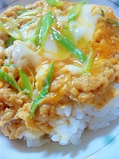 玉子とねぎだけ★１人ランチはお手軽♪とろとろ玉子丼