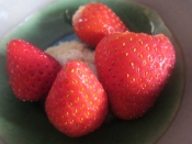 苺と砂糖牛乳 レシピ 作り方 By Skip Right 楽天レシピ 苺と砂糖牛乳 レシピ 作り方 By Skip Right 楽天レシピ