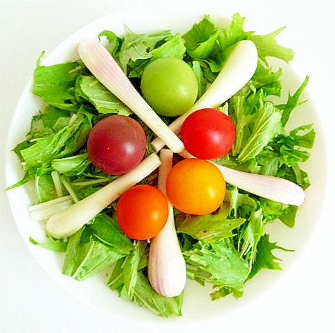 エシャレットと水菜とカラフルトマトのサラダ