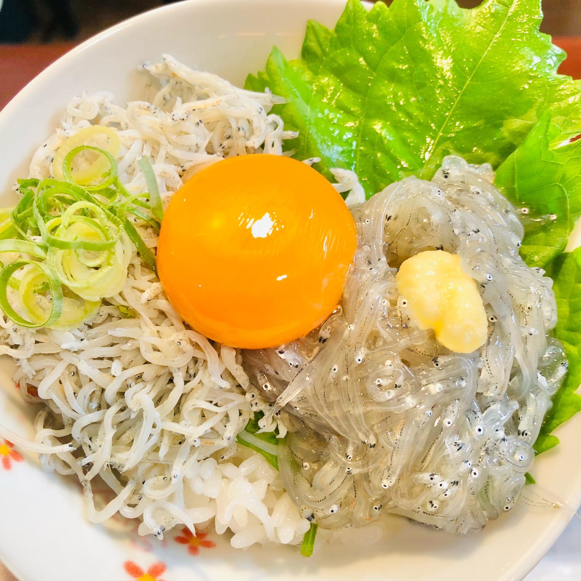 生しらす&釜揚げしらす丼