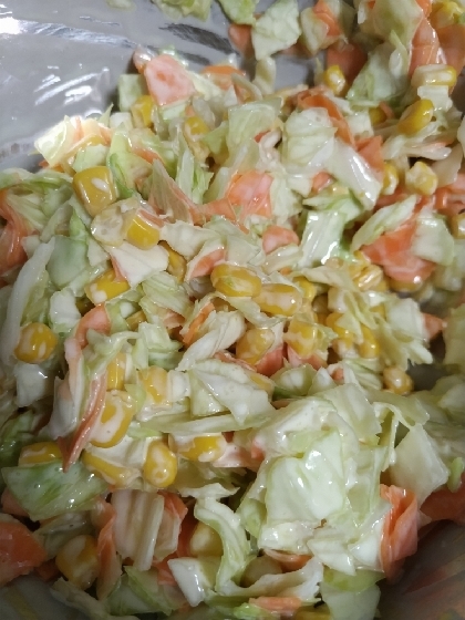 みんな大好きなあの味☆コールスローサラダ