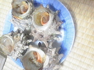 サザエでございます タウリンで休肝 レシピ 作り方 By とりあえず乾杯 楽天レシピ サザエでございます タウリンで休肝 レシピ 作り方 By とりあえず乾杯 楽天レシピ