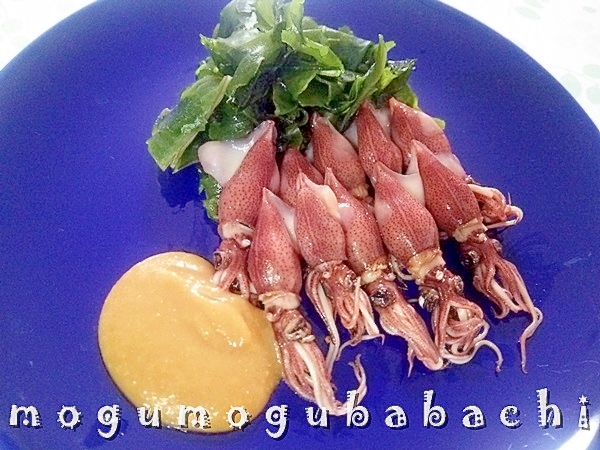 ボイル ホタルイカレシピ 作り方の人気順 簡単料理の楽天レシピ ボイル ホタルイカレシピ 作り方の人気順 簡単料理の楽天レシピ