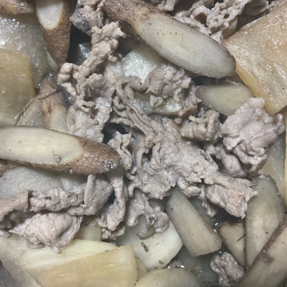 ご飯に合う☆大根＋牛蒡+豚肉の甘辛煮★