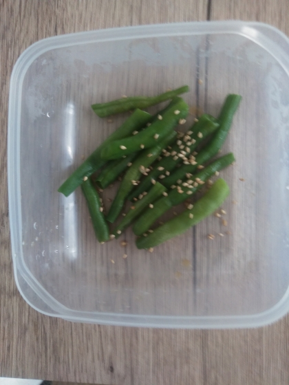 小鉢の定番♡栄養たっぷり♡いんげんのごま和え