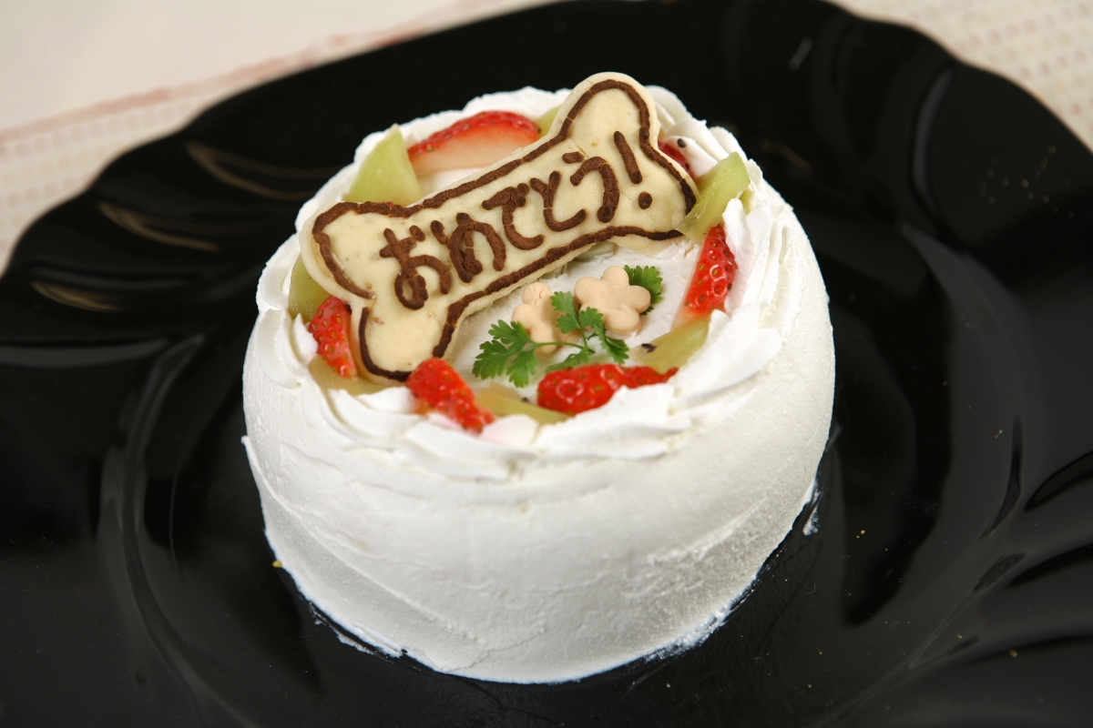 わんこごはん バースデーケーキ 豆腐クリーム レシピ 作り方 By 楽天出店店舗 クッキングクロッカ楽天市場店 楽天レシピ わんこごはん バースデーケーキ 豆腐クリーム レシピ 作り方 By 楽天出店店舗 クッキングクロッカ楽天市場店 楽天レシピ