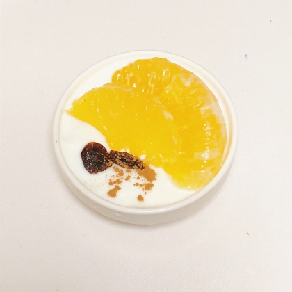 甘夏とレーズンのヨーグルト