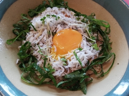 簡単釜あげしらす丼