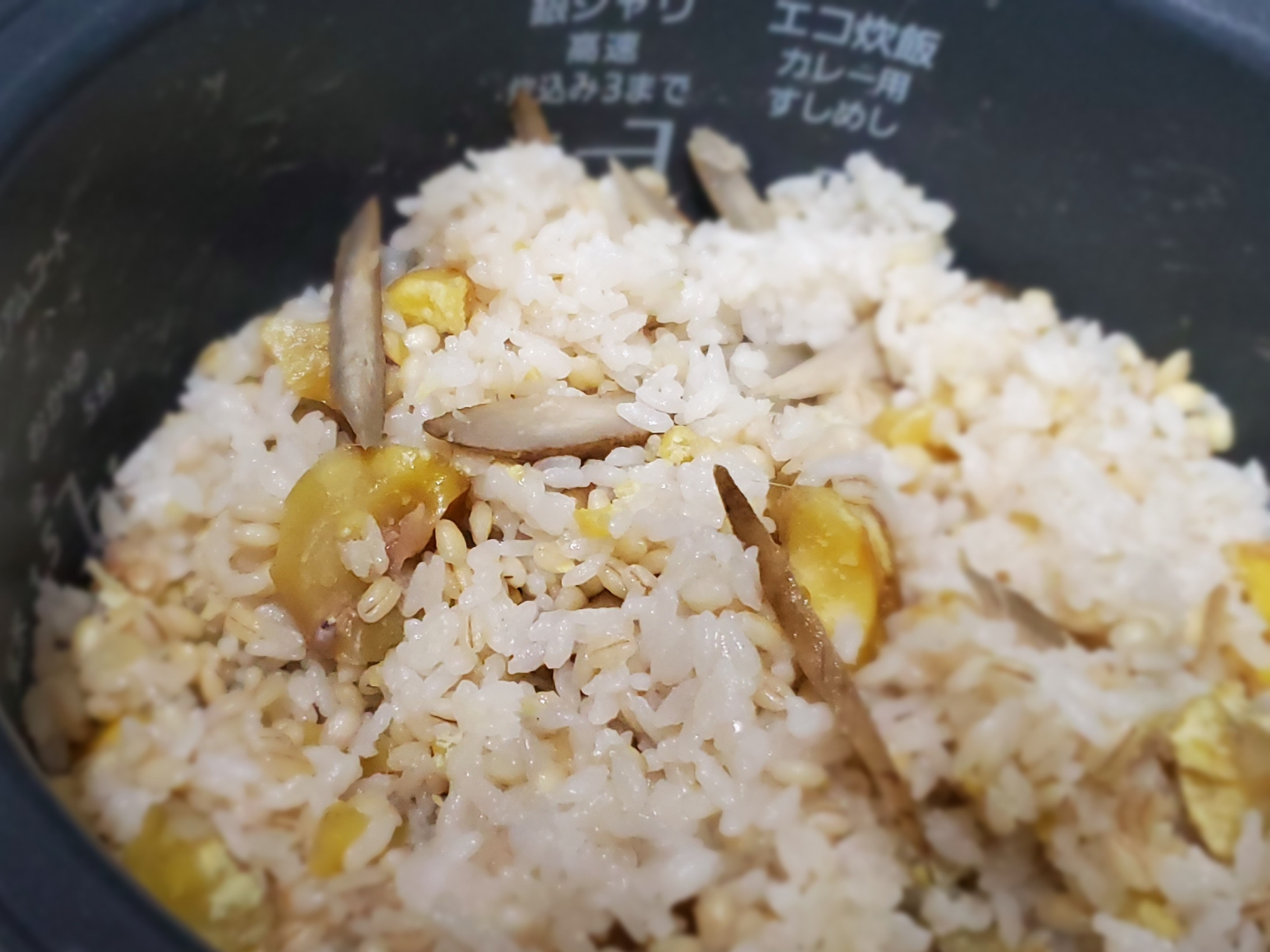 ゴボウと栗の炊き込みご飯